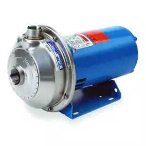 Goulds Centrifugal Stainless Steel Water Pump 1\2 HP 208-230/480V 100MS1C5E4 - Picture 1 of 2