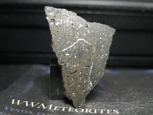 Meteorite NWA 16295 - L7- Enriched in Metal and Sulfide by Parent Body Processes - Picture 1 of 2