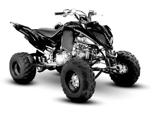 Yamaha Raptor 700 700R Grafik Kit 2013 2014 2017 bis 2025 Decals Aufkleber 12mil - Bild 1 von 7