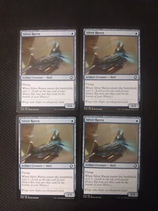 MTG Silver Raven x4 AFR Nonfoil NM/M Unbespielt - Bild 1 von 1