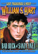Lost Treasures of the West: Bad Buck Of Santa Ynez (1916 (DVD) (Importación USA)
