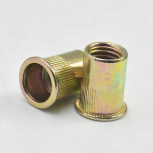 BLIND INSERT RIVET NUT RIVNUT FLAT HEAD STEEL COLOR ZINC M3 M4 M5 M6 M8 M10 M12 - Picture 1 of 2