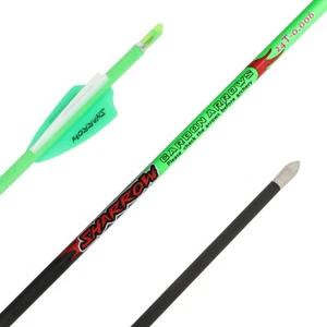 32" 24T Pure Carbon Arrows Archery SP400-1000 Vanes ID4.2MM Recurve Bow Shooting - Picture 1 of 21
