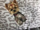 Cute Yorkie Hand Painted On Makeup , Misc.  Bag