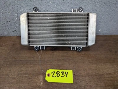 Kawasaki Ninja 250 250R Ex250 2008-2012 motor radiador motor refrigeración Foto 1 de 4