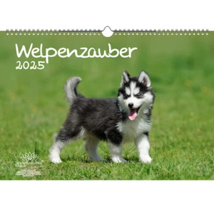 Welpenzauber DIN A3 Kalender für 2025 Hunde Welpen - Seelenzauber - Bild 1 von 7