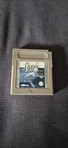 The Flash für Nintendo Gameboy Nur MODUL - Bild 1 von 2