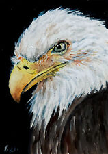 ACEO Original Painting Bald Eagle  Realistic Bird Art ATC Signed by De Alwis