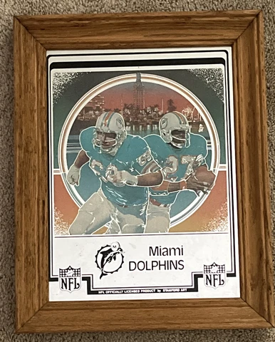 Vtg 1980s Miami Dolphins Mirror by Stamford Art Wood Frame Cover