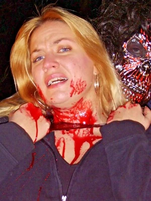 Christmas horrors HATE'S HAUNTED SLAY RIDE DVD AUTOGRAPHED by writer/director - Image 1 of 4