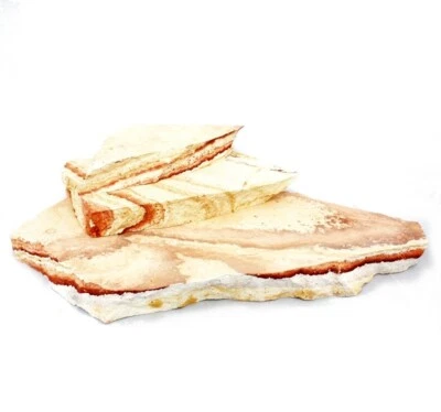 EXOTENHERZ Regenbogen-Platten Set Gr. XL