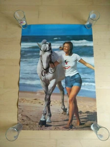 Poster Frau mit Pferd groß farbig Strand Schimmel - Bild 1 von 1