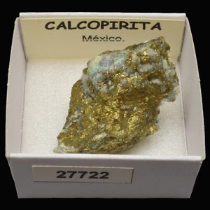 CALCOPIRITA (Mexico) #27722 / Chalcopyrite - Imagen 1 de 1