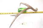 Mule Deer Wild Antler Shed Horn Wyoming WEATHERED CRACKED NATURAL FADED DECOR