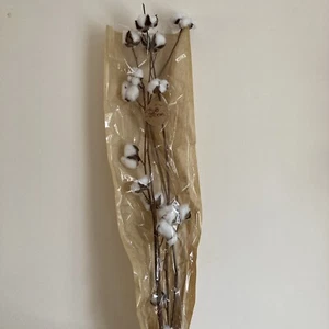 Dried/ faux Cotton Flower Stems x 3 - Picture 1 of 2