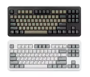 HANSUNG TFG ART Wireless V2 Dual Mechanical Keyboard (Korean) / 87key, Red axis - Picture 1 of 6
