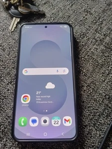 Samsung Galaxy S25 Silver- 256gb. Used, Like New, Excellent Condition. Unlocked - Photo 1 sur 6
