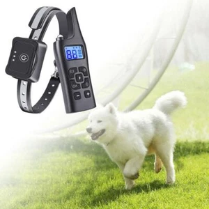 Hunde Schockhalsband Bellen Trainingshalsband Hundegürtel Welpe Wasserdicht Elektrisch - Bild 1 von 8