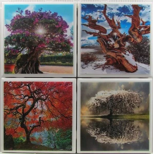 4er Set - Keramikfliesen Untersetzer - Baum Jahreszeiten (Kaufen Sie 2 Sets - erhalten Sie 1 Set gratis) 1A - Bild 1 von 6