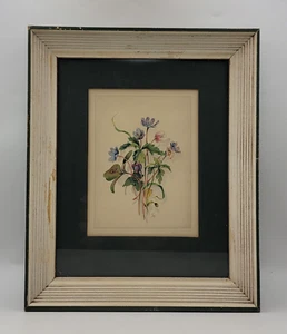 Vintage 50er Jahre gerahmte botanische Zeichnung/Druck B&S Creations - Bild 1 von 8