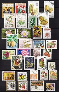 101407/ Blumen und Pflanzen - schönes Lot - o - nichts gerechnet - siehe scan - Picture 1 of 1