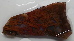 WRG- Maury Mountain Moss Agate Slab 16 grams Old Stock Lapidary jasper rhyolite - Picture 1 of 6