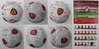2008-09 Official Arsenal Football Squad Signed inc. Fabregas, Rosicky & Arshavin