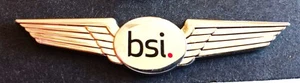 British Standards Institute Wings BSI Aerospace Metal Wings. - Imagen 1 de 2