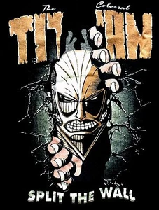 THE COLOSSAL TITAN SPLIT THE WALL SELTENES SHIRT OHNE ETIKETT - MASSE MEDIUM Teevillain - Bild 1 von 4