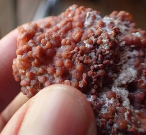 Uva Ágata Uta Utah Calcedonia Botrioidal Geoda Fragmento Desierto Espécimen GA5 - Imagen 1 de 7