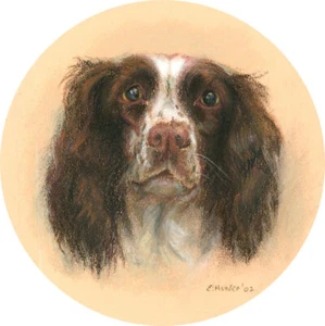 E. Hunter - 2002 Pastel, English Springer Spaniel - Picture 1 of 3