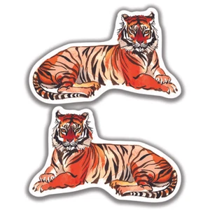 TIGER ABZIEHBILD Katze 2 Aufkleber Bogo Auto Fenster LKW Stoßstange 4x4 - Bild 1 von 1