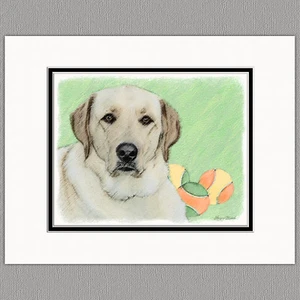 Labrador Retriever Amarillo Laboratorio Impresión Original 8x10 Mate a 11x14 - Imagen 1 de 1