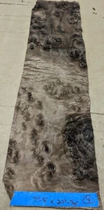 Walnut Burl wood veneer 7" x 27" raw no backing 1/42" thickness A+ quality grade - Picture 1 of 4
