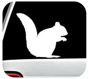 Squirrel Decal Sticker Car Window  Choose Size & Color BG2120 - Picture 1 of 3