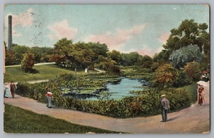 Chicago, Der Seerosenteich Lincoln Park, Biesen Postkarte - Bild 1 von 2