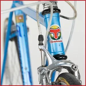TOMMASINI PRESTIGE COLUMBUS SL SHIMANO RX100 STEEL VINTAGE OLD ITALIAN ROAD - Picture 1 of 18