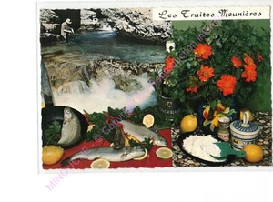 Postcard Serrated Recipe Kitchen Trout Meunière Emilie Bernard n127 - Picture 1 of 2
