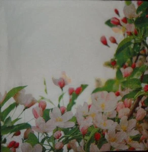 4 x Single Paper Napkins Decoupage Crafting Flower Pattern 12 - Picture 1 of 1