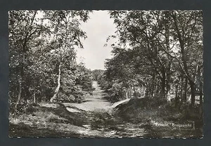 Ermelo Bosgezicht - Picture 1 of 2