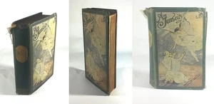 Karl May´s gesammelte Reiseerzählungen. Teil: Bd. 25., Am Jenseits : Reiseerzähl - Picture 1 of 1