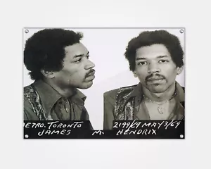 Jimmy Hendrix Wood Print 24"x15" | Celebrity Mugshot Booking Photo Pop Art - Picture 1 of 6