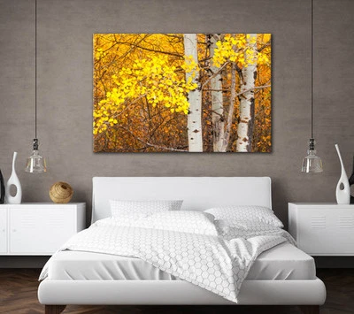 LARGE AUTUMN FOREST TREES YELLOW LEAVES CANVAS WALL ART PICTURE STUNNING PRINT - Image 1 of 2
