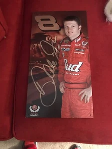 Dale Earnhardt Jr. Metal Poster - Picture 1 of 6