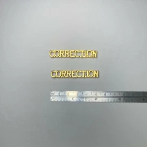 Correction- Gold Police Collar Brass - Pin and Clutch - NEW - Rank Insignia - Picture 1 of 2