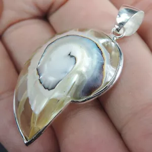 925 Sterlingsilber klein klar natürlich Nautilus Muschel Anhänger Schmuck, CNP-20 - Bild 1 von 6