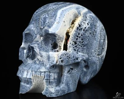 Calavera de cristal tallada a mano de coral Blue Ridge de 5,0", realista, cristal curativo Foto 1 de 4