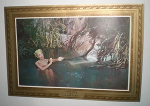 SAFARI 1956 LOCANDINA PROMOZIONALE ORIGINALE JANET LEIGH VICTOR MATURE T. YOUNG - Imagen 1 de 1