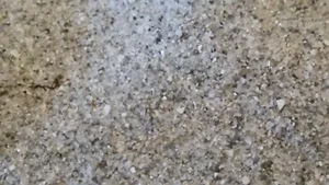 STRAND SAND - CRANDON PARK SOUTH BEACH - KEY BISCAYNE - FLORIDA - USA - Bild 1 von 9