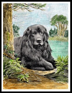NEWFOUNDLAND BY LAKE LOVELY VINTAGE STYLE DOG ART PRINT POSTER - Picture 1 of 1